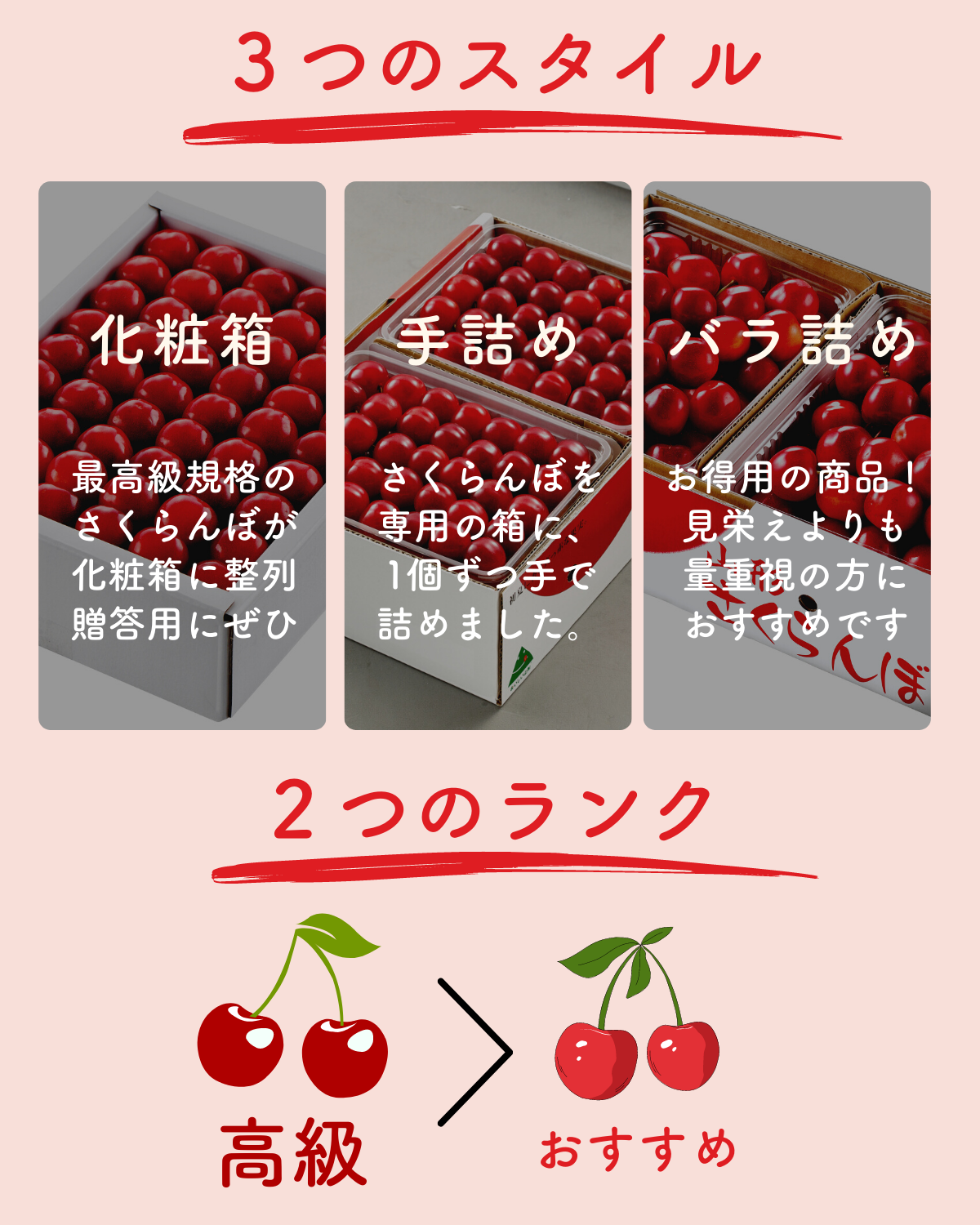 バラ詰め専用 父の日ギフト】佐藤錦さくらんぼ 手詰め・バラ詰め | 【JA公式】山形名