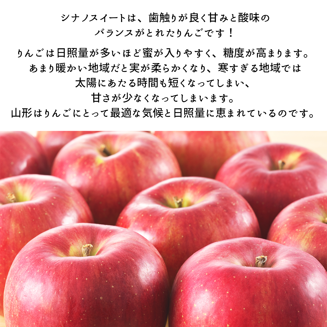 山形県産 シナノスイート＜3～5kg＞ | 【JA公式】山形名産品を