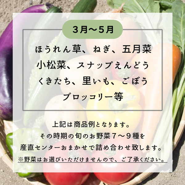 ●商談中●【 新鮮・希少 期間限定 】雪うるい 山菜 2kg送料込み 農家直送 予約開始！【常温配送】天然＜春の山菜セット＞飯綱の里山で