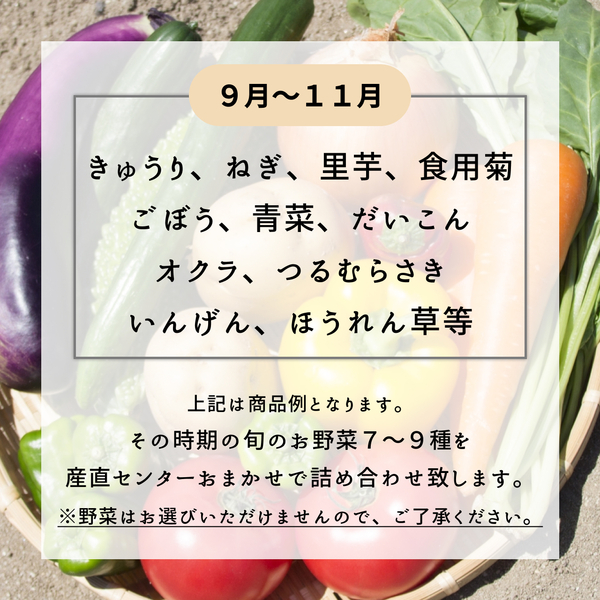 新鮮野菜産直セット（冷蔵） | 【JA公式】山形名産品を産地直送